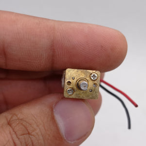 300RPM N20 DC Gear Motor The Perfect Low RPM High Torque Motor For Your Electronics Projects - a close-up view of the brass-colored gearbox face with a central output shaft, two mounting screws, and red and black wires.