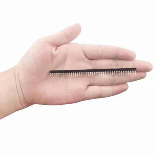40 Pin 2.54mm Single Row Round Female Pin Header Strip - shown held in a human hand, displaying the black plastic housing and the row of metal pins.