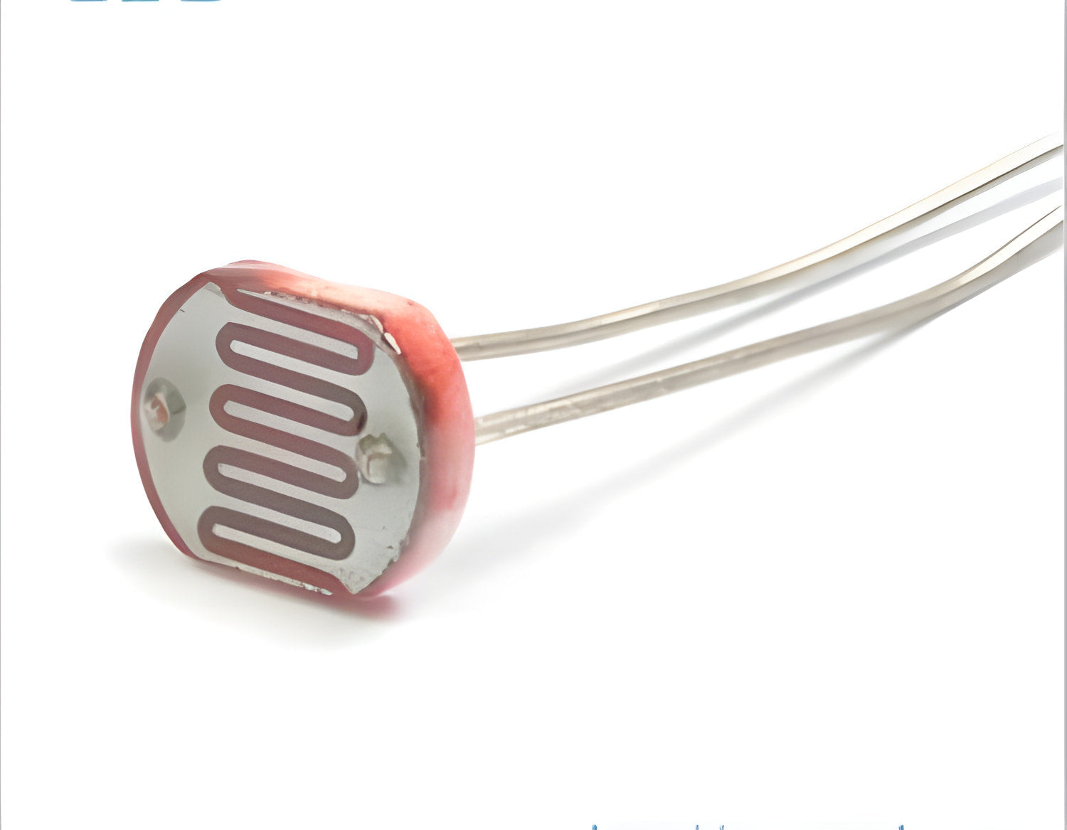 5mm Light Dependent Resistor LDR Sensor - a close-up of the circular, reddish-pink component with a visible serpentine conductive track and two leads.