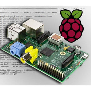 Raspberry Pi 1 Model b - with Ethernet, USB, audio, and RCA ports, shown against a background of Linux terminal text and a berry logo.