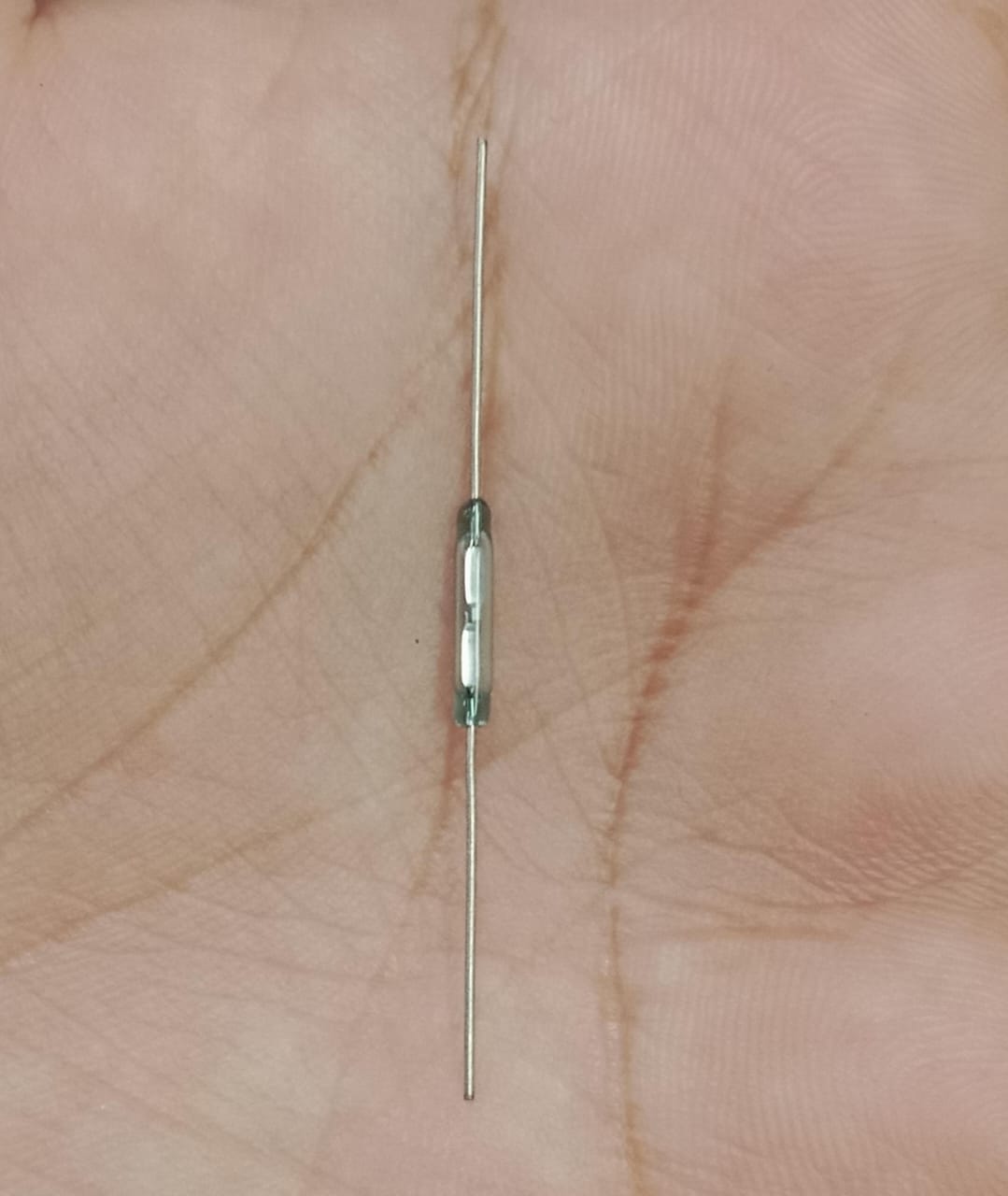Reed Switch Sensor Reed Sensor Magneto Magnet Magnetic Switch Normally Close - a small, clear glass cylindrical component with two thin metal leads extending from each end, held against a palm.