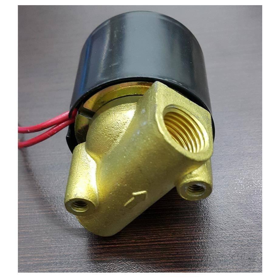 1/2 Inch 24V DC Solenoid Valve Coil - a brass valve body with a threaded port, a black cylindrical coil, and two red electrical wires.