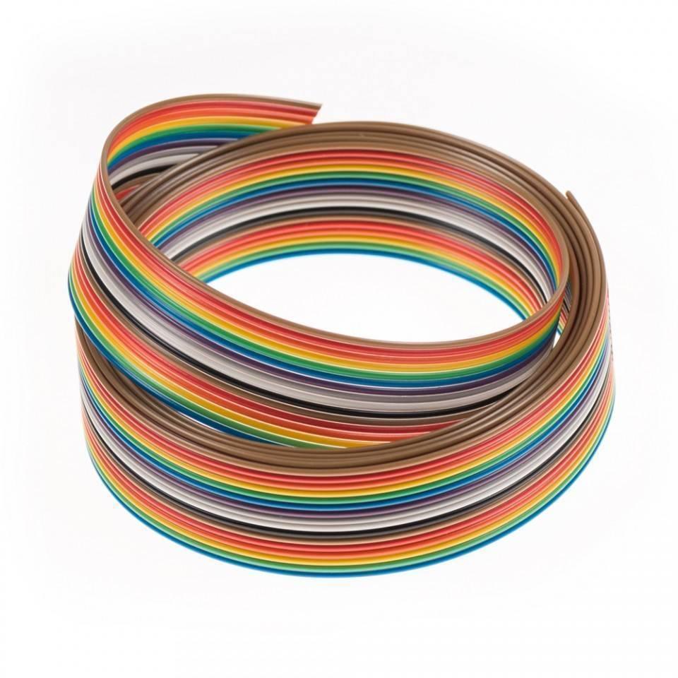 1 feet 20 Wires Rainbow Color Flat Ribbon Cable - multiple parallel multicolored wires.