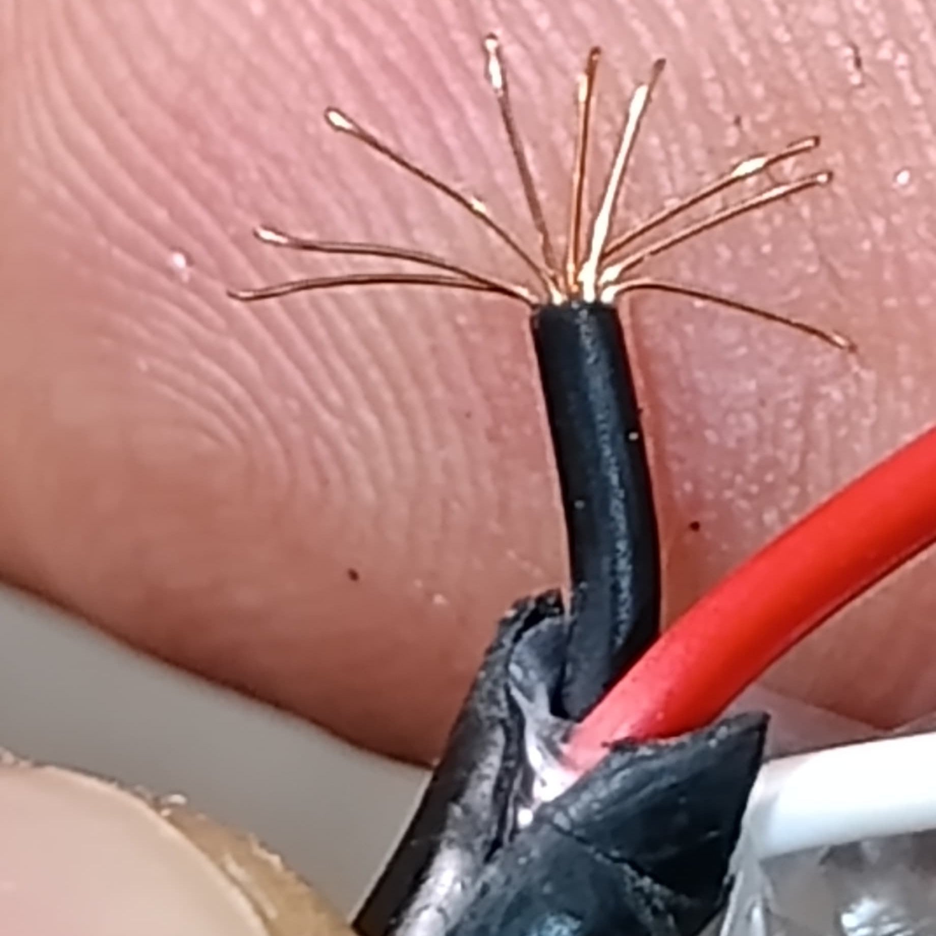 1 Meter 3 Core Cable Red White Black - close-up showing the exposed copper strands of the black wire alongside the red and white insulated wires.