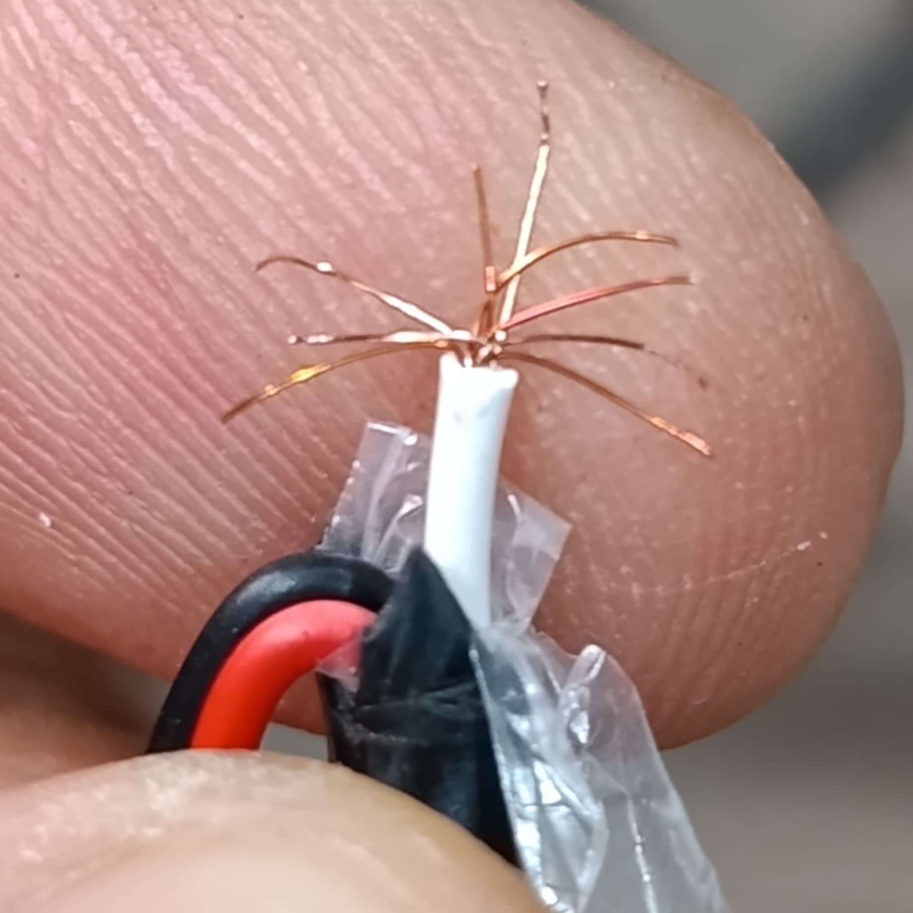 1 Meter 3 Core Cable Red White Black - a close-up showing the stripped end of a multi-core cable with exposed copper wire strands and internal insulation.
