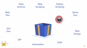 100 Days of Code: The Complete Python Pro Bootcamp Created by Dr. Angela Yu - Read the Descriptiton - a blue box with yellow stripes surrounded by text labels for various programming topics.