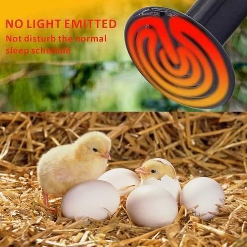 100W 220V Egg Incubator Heating Element Mini Infrared Ceramic Heating Controller Bulb Light - a black infrared ceramic heating bulb with a glowing orange spiral coil above chicks and eggs in straw.