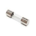 10A 250VAC (5x20mm) Fast Acting Fuse - a small cylindrical glass fuse with metal end caps shown against a white background.