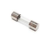 10A 250VAC (5x20mm) Fast Acting Fuse - a small cylindrical glass fuse with metal end caps shown against a white background.