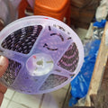 12V DC 5 Meter Warm LED Strip - coiled on a clear plastic spool held in a hand.