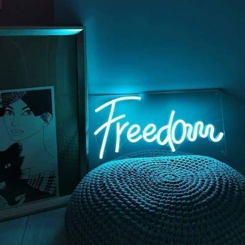 12V Ice Blue Neon Flexible Strip Light 1m Waterproof SMD 5050 Rope String Silicone Lamp Outdoor Lighting - shaped into the word "Freedom" in a glowing blue neon sign.