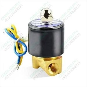 1/4 Inch 220v Ac Brass Solenoid Valve For Water Oil Gas