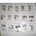150pcs Resistor Pack Of 15 Values 10R,47R,100R,220R,330R,470R,1k,2.2k,4.7k,6.8k,10k,22k,47k,100k,220k - 15 small clear plastic bags containing various brown cylindrical resistors, each labeled with its resistance value in black ink.
