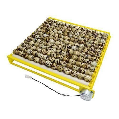 220v Egg Incubator Roller Tray Multifuntion 156 Birds Eggs