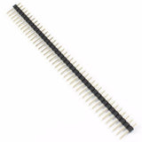2.54mm Pitch 40 Pin Male Header - a long, straight row of silver metal pins held together by a black plastic strip.
