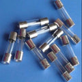 2 Amp 5mm x 20mm Cartridge Fuse 5X20 - shown as a pile of multiple clear glass cylindrical fuses with silver metal end caps on a blue background.