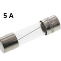 5 Amp 5mm x 20mm Cartridge Fuse - shown as a clear glass cylinder with silver metal end caps and a thin internal wire filament against a white background.
