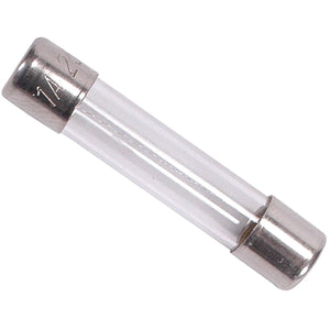 5 Amp 6mm X 30mm 250VAC Glass Fuse - a clear cylindrical glass fuse with metal end caps, one of which is etched with the text "1A 250V".