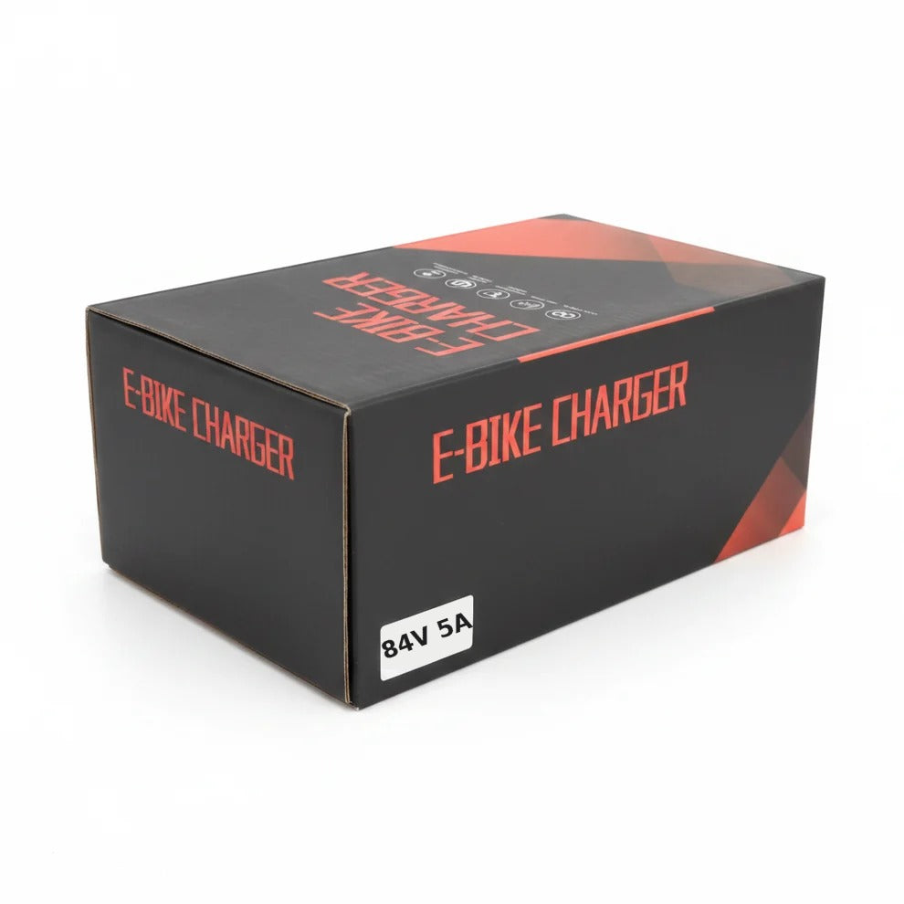 84V 5A 6 Lamp E Bike Charger in Pakistan