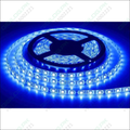 Blue Color 12v DC Strip Light Rolls 5 Meter Each