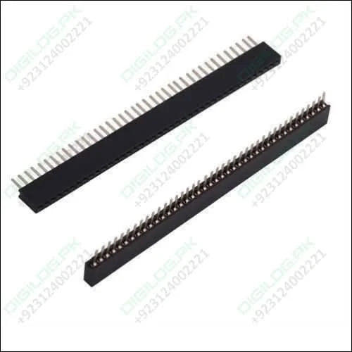 40 Pin 2mm Pitch Female Header: Your Electronics Projects - Digilog.pk