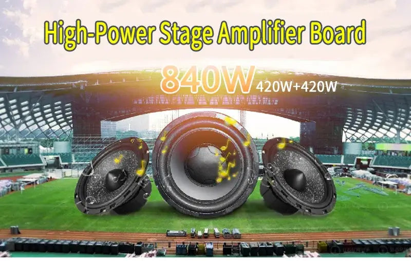 420wx2 Dual Chip d Digital Audio Amplifier Board Tda8954th