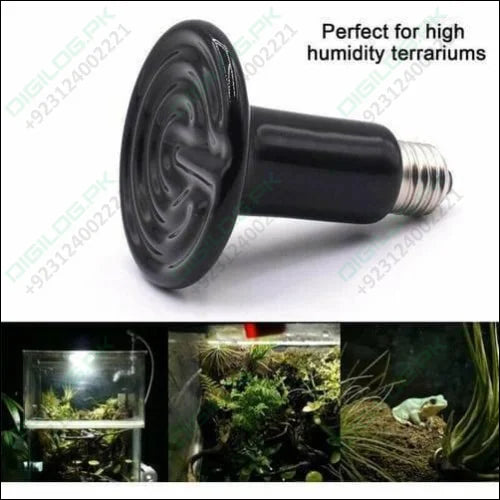 Infrared Ceramic Heating Bulb 200w 220v Best Element Light