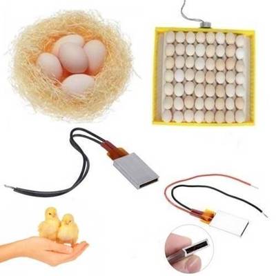 Aluminium Thermostat Heating Element Plate 12V 110°c - shown as a product collage featuring the heating plate, wires, a nest with eggs, and chicks.