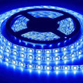 Blue Color 12V DC Strip Light Rolls 5 Meter Each - shown as a coiled, illuminated blue LED strip on a black plastic spool.