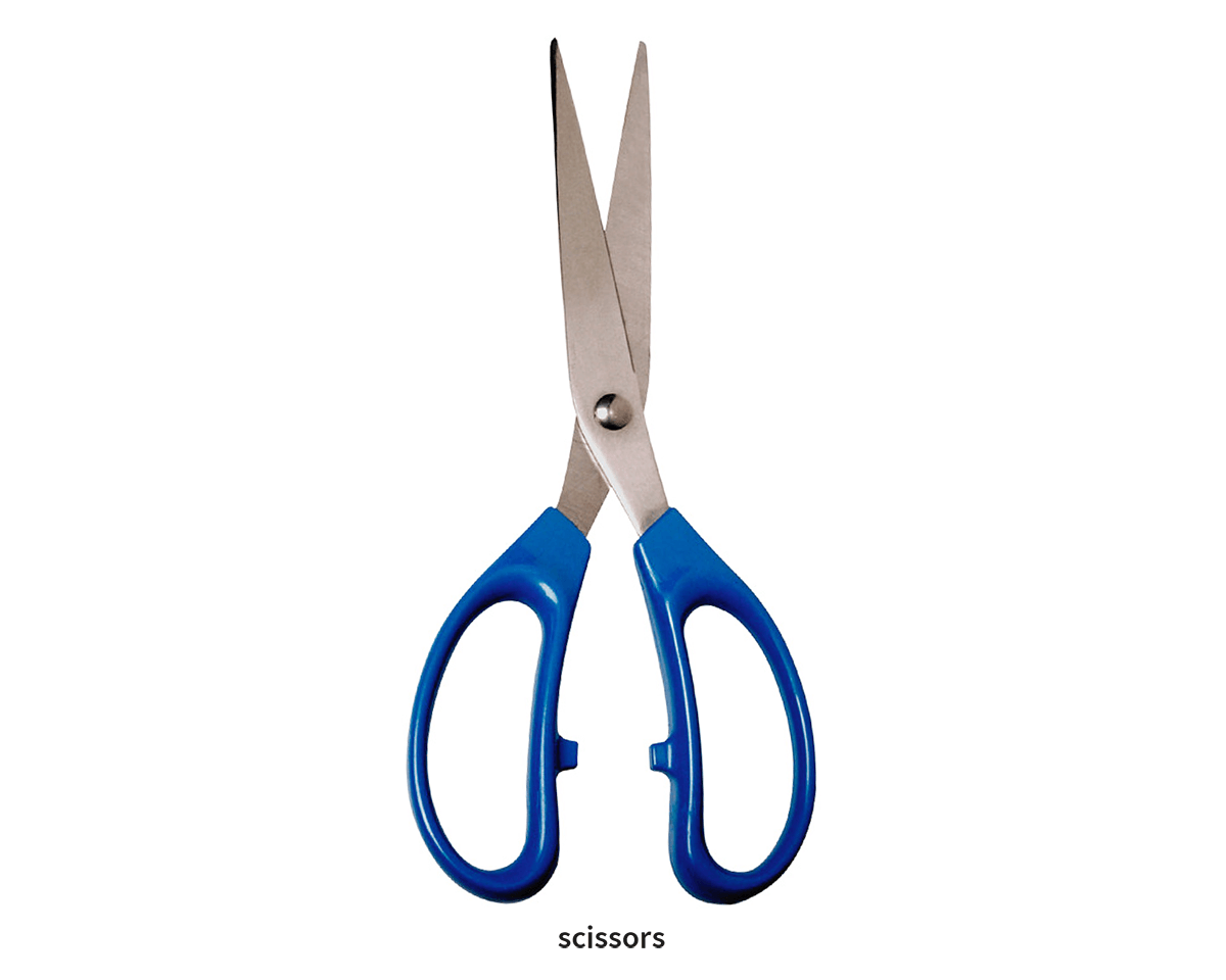 General Purpose Scissors - two silver metal blades joined by a central screw and two blue plastic handles.