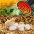 Mini Infrared Ceramic Heating Bulb Light 50W 220V Electric Heating Element For Egg Incubator Reptile Pets Birds - with a glowing red spiral coil, positioned above a chick and several eggs in straw.