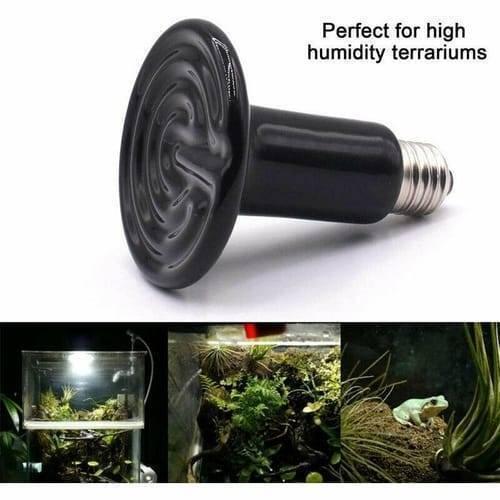 Mini Infrared Ceramic Heating Bulb Light 50W 220V Electric Heating Element For Egg Incubator Reptile Pets Birds - mushroom-shaped ceramic heat lamp with a metal screw base, shown above photos of a terrarium and a frog.