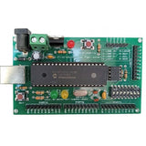 PIC Strawberry Microcontroller Development Board - a PIC18F4550 chip, USB port, power jack, reset button, DIP switches, and multiple pin headers.