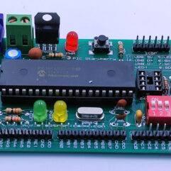 PIC Strawberry Microcontroller Development Board - a green circuit board featuring a large black IC, two LEDs, a push button, and various pin headers.