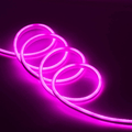 Pink Neon Light 12V 1 Meter - shown as a flexible, glowing pink LED strip coiled into several circular loops against a dark background.