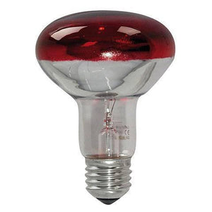 R80 100W Red Reflector Infrared Heating Bulb Lamp 220-240V E27 For Hen Duck Egg Incubators - a mushroom-shaped bulb with a red-tinted top, a silver reflective base, and an E27 screw-in connector.