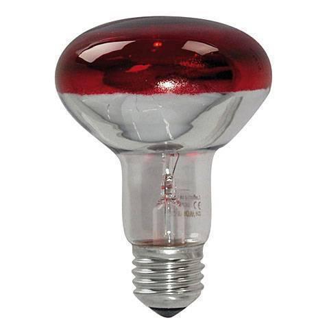 R80 100W Red Reflector Infrared Heating Bulb Lamp 220-240V E27 For Hen Duck Egg Incubators - a mushroom-shaped bulb with a red-tinted top, a silver reflective base, and an E27 screw-in connector.