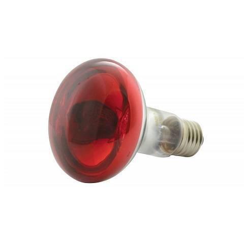 R80 100W Red Reflector Infrared Heating Bulb Lamp 220-240V E27 For Hen Duck Egg Incubators - dome-shaped glass bulb with an E27 screw base.