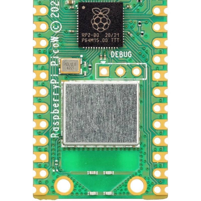Raspberry Pi Pico w - a green rectangular microcontroller board featuring a central metal shield, a black processor chip, and gold-plated pin headers.