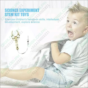 DIY hydraulic manipulator wooden STEM KIT Unassembled