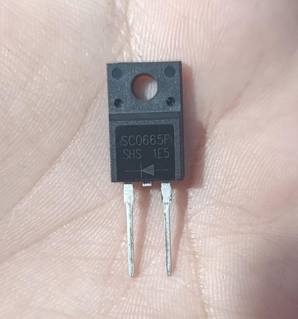 SC0665F 650V 6A SiC Schottky Diode TO-220F - a black, rectangular electronic component with two metal pins and a mounting hole, held against a human palm.