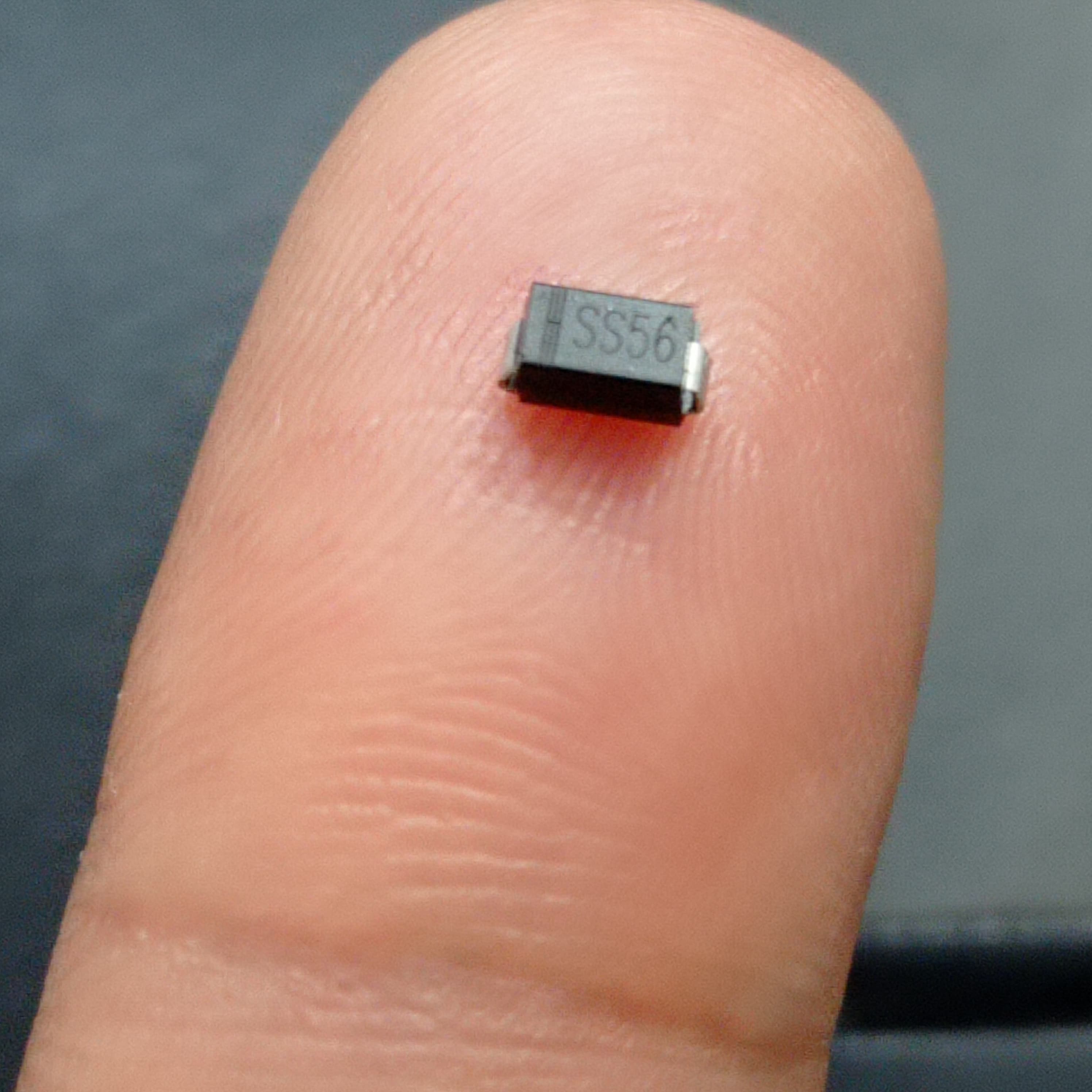 SS56 SMD 5A 60V DO-214AA Schottky Diode - a small black rectangular surface-mount component with silver terminals, held on a person's fingertip for scale.