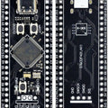 STM32F401RCT6 Development Board ( Black Pill) - USB Connectivity PRICE - the front and back of the black PCB with a USB-C port, two buttons, and labeled pin headers.