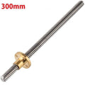 T8 300MMX8MM Screw Threaded Rod With Brass Nut - a silver-colored metal threaded rod with a brass nut attached, labeled with "300mm" in red text.