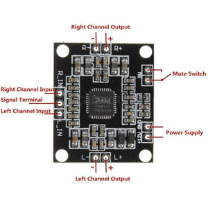 XHM181 Xh M181 PAM8610 12V Dual-channel Stereo Audio Amplifier Board - a square black circuit board with labeled input, output, mute, and power terminals and a central chip.