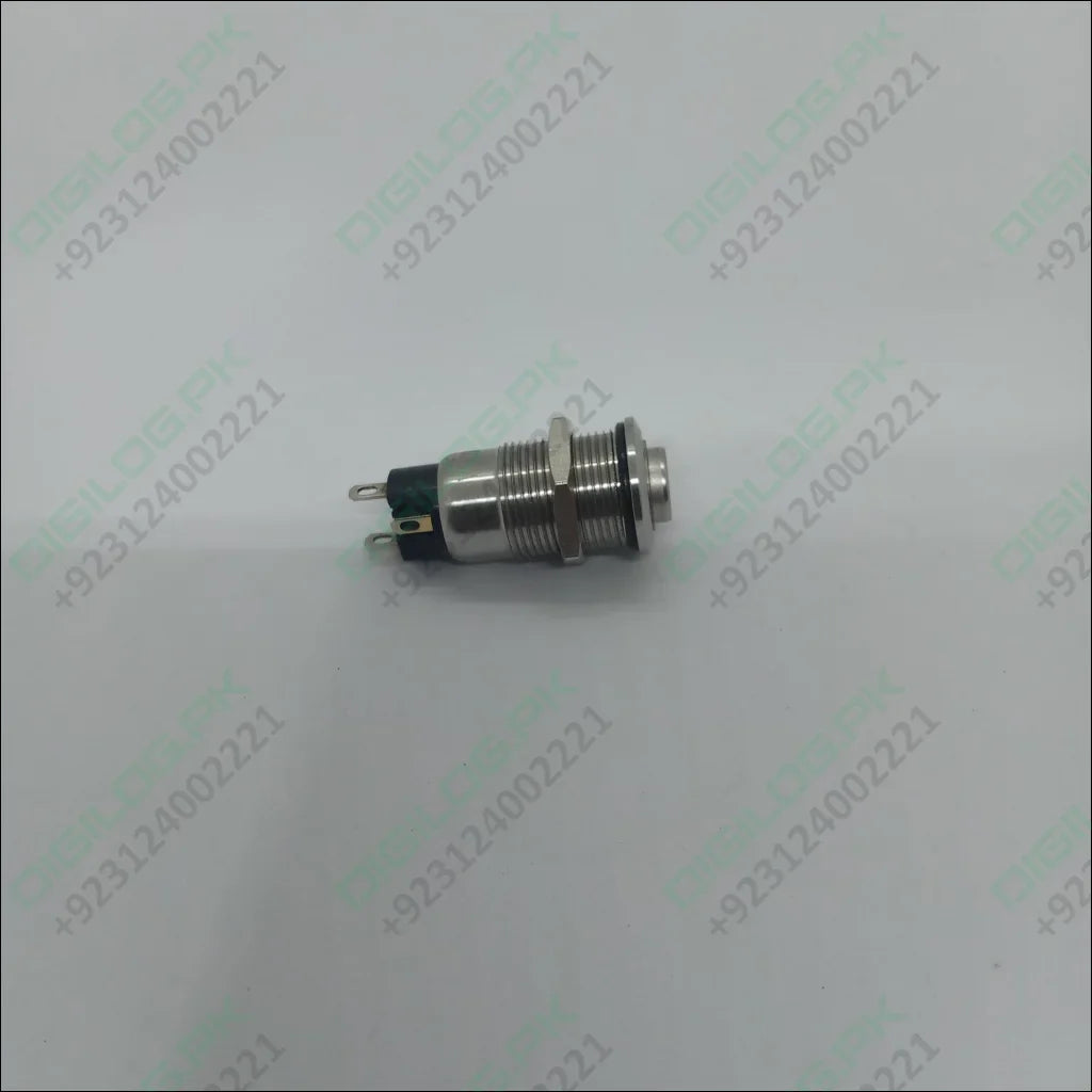 ZLQ-B5V 12mm Waterproof Metal Push ON Push OFF Button Switch With Power Indication - shown as a silver metal cylindrical switch with two rear terminals.